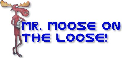 Mr. Moose On The Loose!