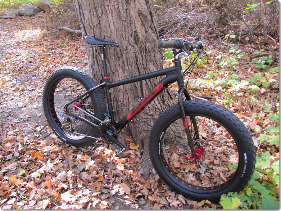 Fat Bike