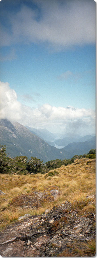Dusky Sound From The Pleasant Range