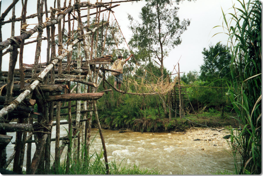 Suspension Bridge