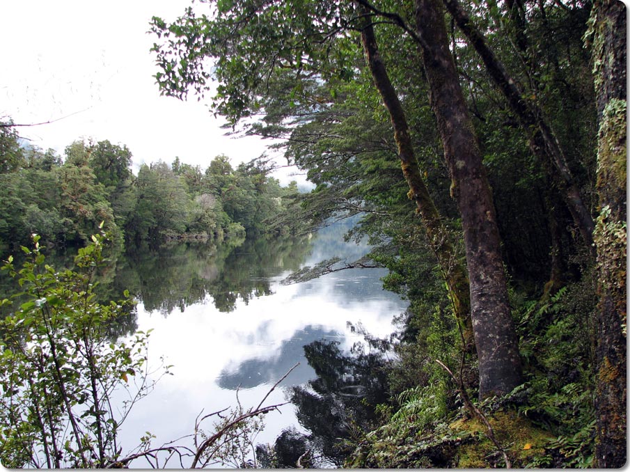 Seaforth River